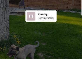 İnstagram hikayeye müzik ekleme nasıl yapılır?