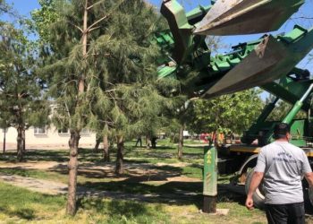 Gürsu’nun doğal güzellikleri korunuyor