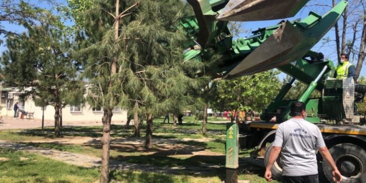 Gürsu’nun doğal güzellikleri korunuyor