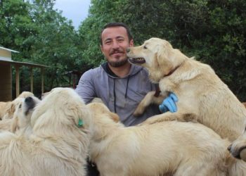 Bursalı genç sokak hayvanları için çiftlik kurdu