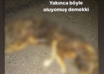 Sosyal medyada büyük tepki çekmişti! Yakalandı…