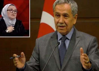 Bülent Arınç: Ben komşusu olsam korkarım