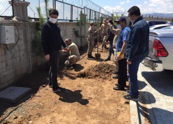 Bingöl’de Orman İşletmeden Fidan Dikimi