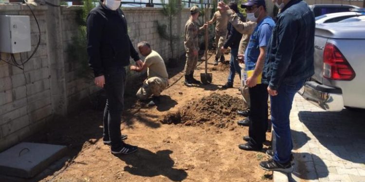 Bingöl’de Orman İşletmeden Fidan Dikimi