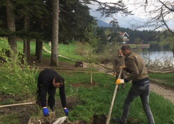 Bolu’da, Gölcük Tabiat Parkı’na fidan dikimi yapıldı
