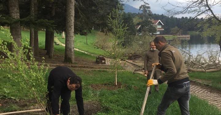 Bolu’da, Gölcük Tabiat Parkı’na fidan dikimi yapıldı