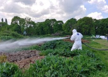 Bursa’da 2 milyon metrekarelik alanda ilaçlama gerçekleştirildi