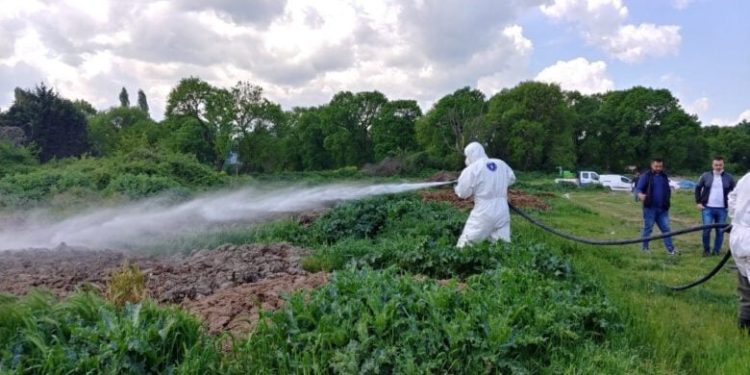 Bursa’da 2 milyon metrekarelik alanda ilaçlama gerçekleştirildi