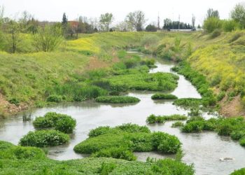 Doğa hiç bu kadar güzel görüntülenmemişti