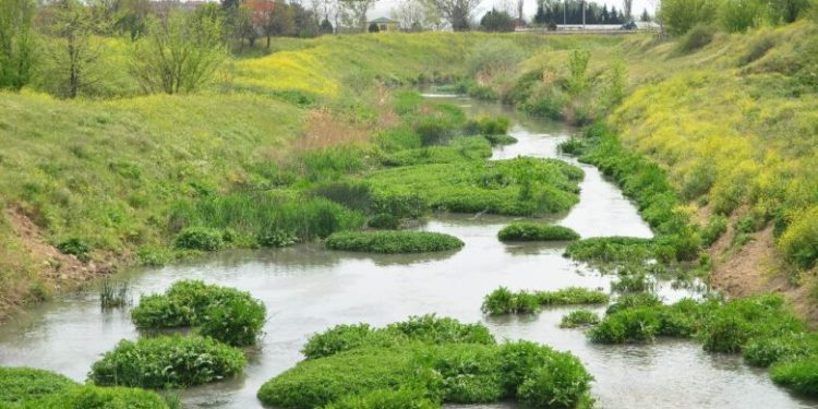 Doğa hiç bu kadar güzel görüntülenmemişti