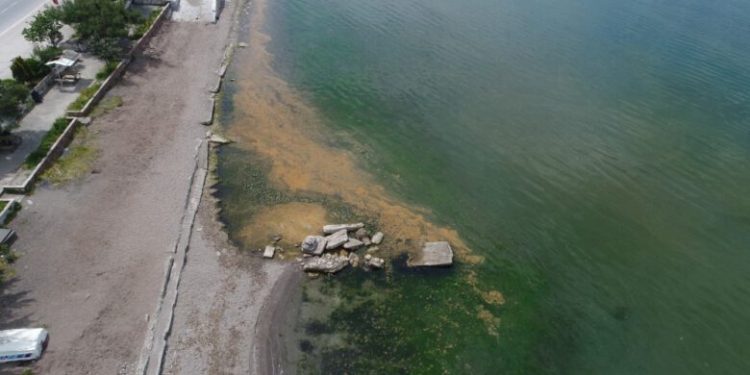 Bursa’da Gemlik Körfezi turuncu renge büründü