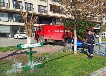 Iğdır’da sokak hayvanları unutulmadı