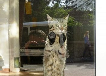 Bursa’da yasak öncesi mağazada mahsur kaldı!