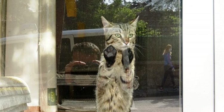 Bursa’da yasak öncesi mağazada mahsur kaldı!