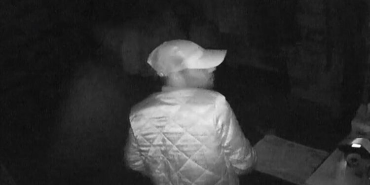 Kuşadası’nda kuru sıkı tabancaları çalan hırsız yakalandı