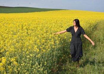 Trakya’yı sarıya boyayan ‘kanola’, tarlaları şenlendirdi