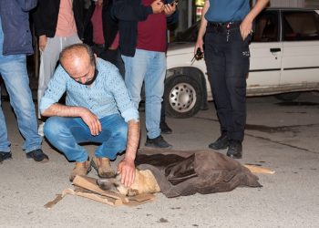Otomobilin çarptığı köpek için vatandaşlar seferber oldu