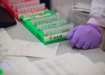 Dünya Sağlık Örgütü, beklenen ikinci dalganın tarihini açıkladı