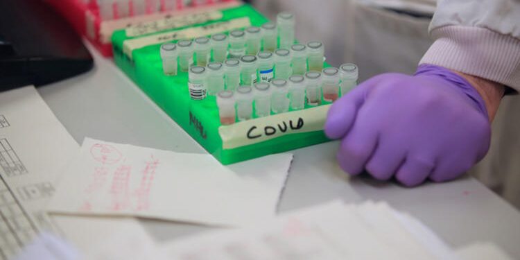 Dünya Sağlık Örgütü, beklenen ikinci dalganın tarihini açıkladı