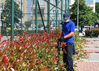 Osmangazi’de hedef ‘Daha Yeşil Bursa’