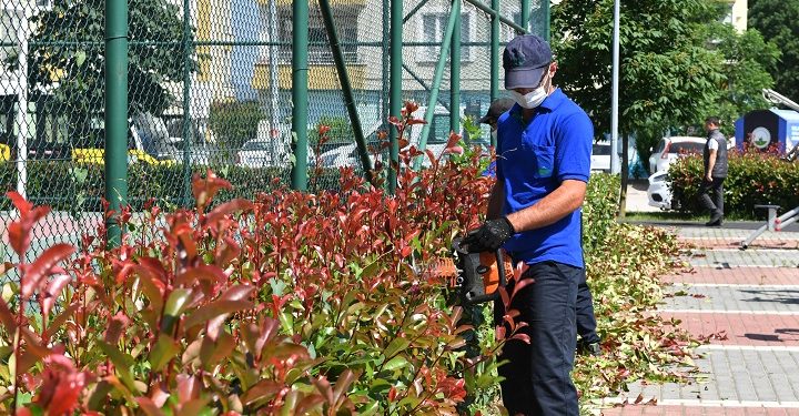 Osmangazi’de hedef ‘Daha Yeşil Bursa’