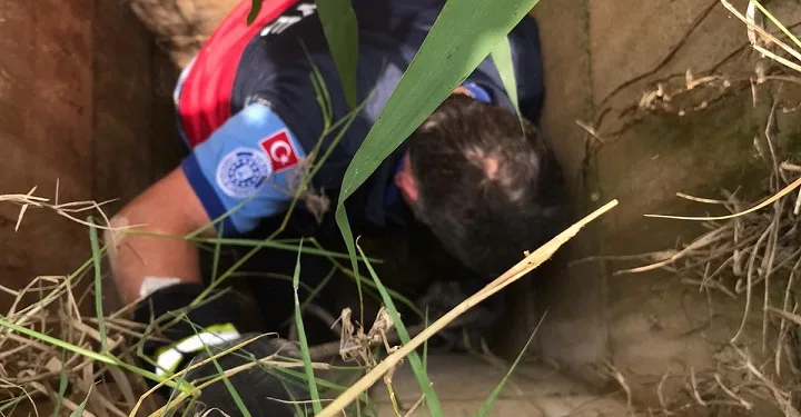 Foseptik çukuruna düşen keçiyi itfaiye kurtardı