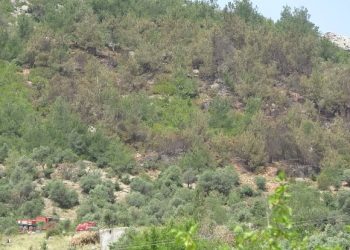 Bursa’da ormanlık alanda 250 bin liralık ziynet eşyası bulundu