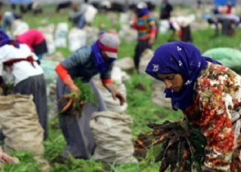 Tedbir paketi lafta kaldı, mevsimlik işçiler perişan…