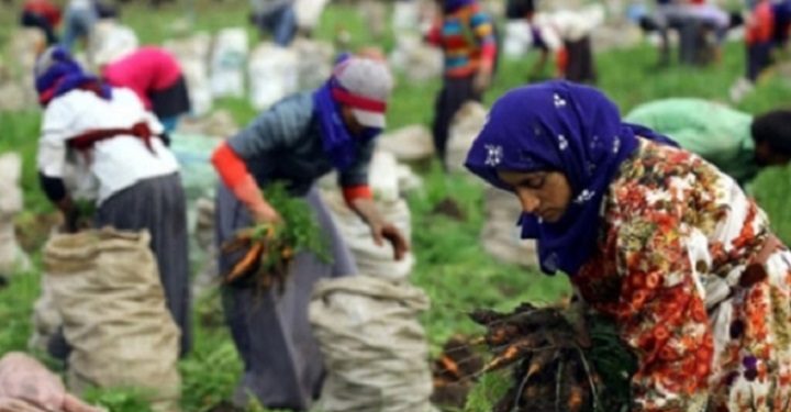Tedbir paketi lafta kaldı, mevsimlik işçiler perişan…