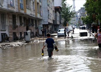 ‘Çoklu hücre’ Bursa ve İstanbul’u yıktı geçti