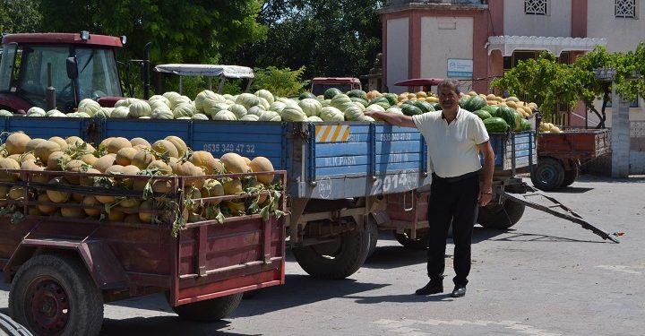 Mustafakemalpaşa’da karpuz ve kavun hasadı başladı