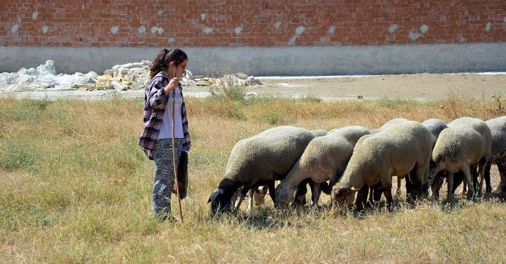 Çobanlık yapan ‘kitap kurdu Suzan’a Türkiye’den kitap yağdı