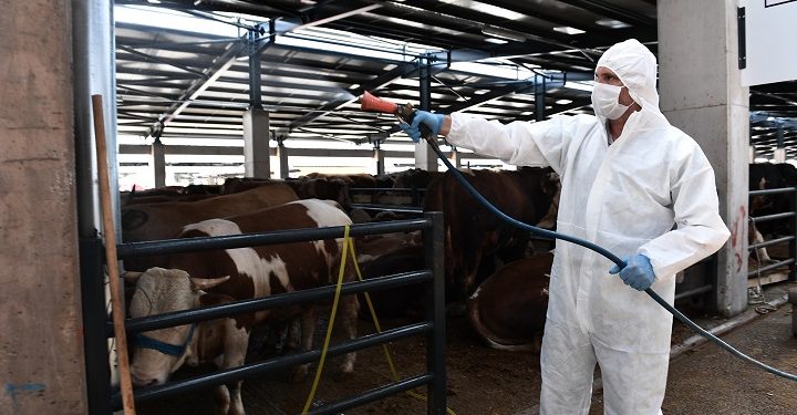 Osmangazi’de kurban satış yerleri ilaçlanıyor