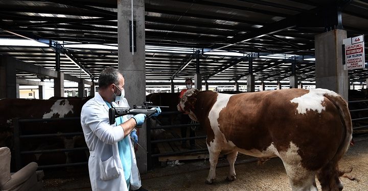 Kaçan kurbanlıklar için özel TİM