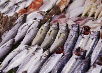 Halde 3.5, restoranda 110 lira!