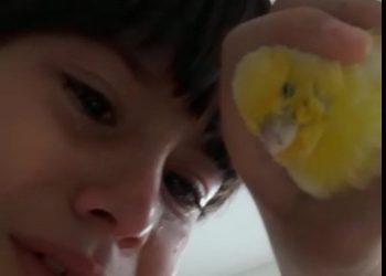 Bursalı Can’ın, muhabbet kuşuna ağlatan vedası