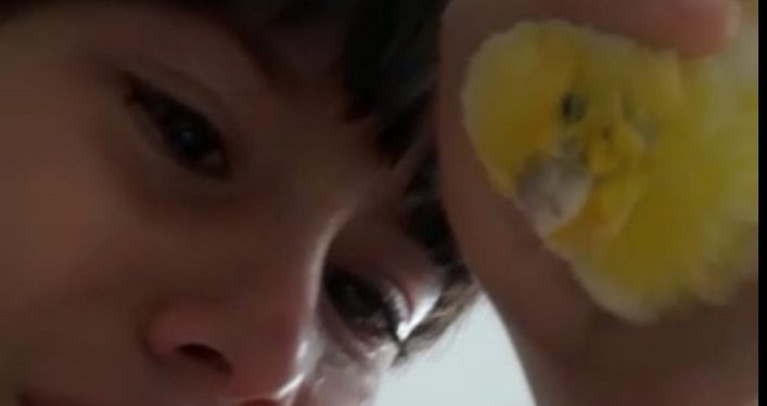 Bursalı Can’ın, muhabbet kuşuna ağlatan vedası