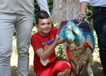 CİMER’den kurbanlık istedi, Bakanlık koç gönderdi
