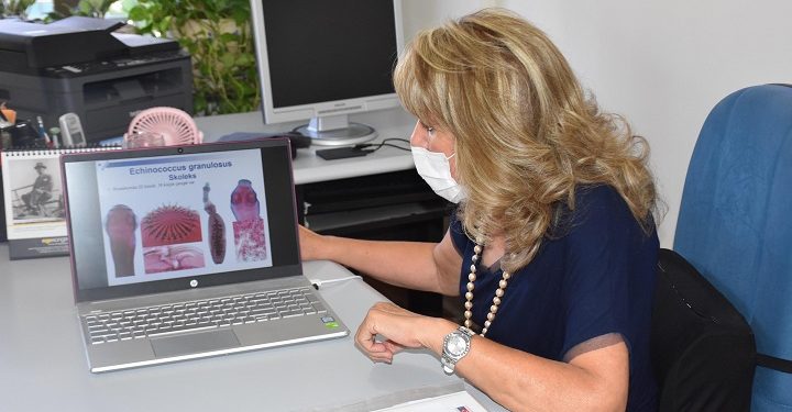 ‘Kurbanda atık organlar derin çukura gömülüp, üzerine kireç dökülmeli’