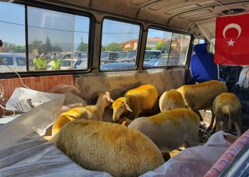 Trafikten men edilen araçla kurban satmaya kalkıştı