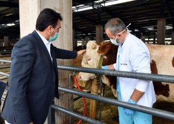 Osmangazi Kurban Pazarında 110 Milyonluk satış