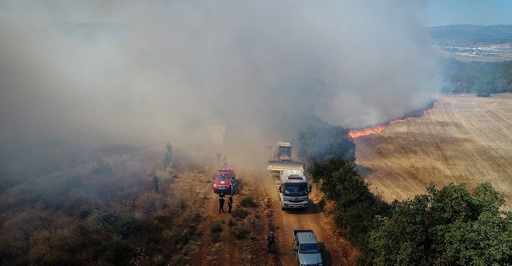 Bursa’daki yangın ormanlık alana da sıçradı!