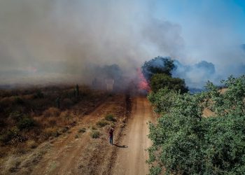 Bursa’daki yangın ormanlık alana da sıçradı!