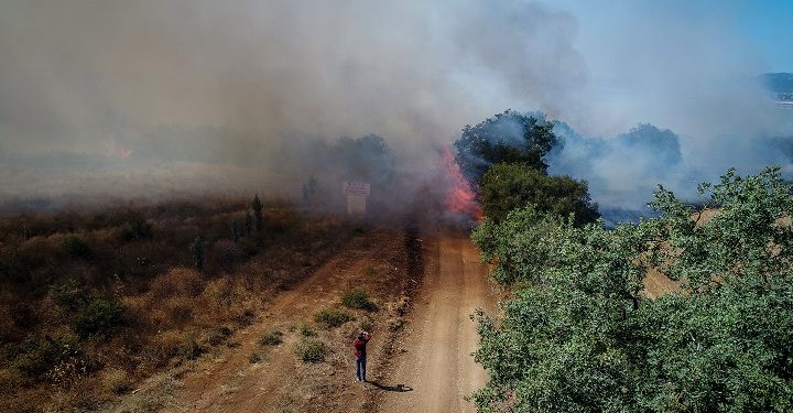 Bursa’daki yangın ormanlık alana da sıçradı!