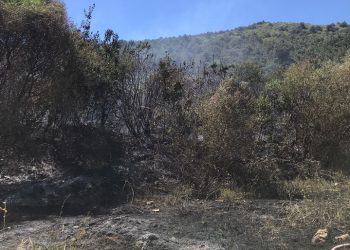 Bursa’da Uludağ’ın eteklerinde yangın
