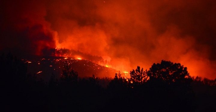 Adana’da orman yangını: 6 köy ve 800 ev boşaltıldı