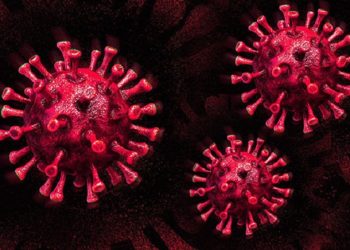 Dünya genelinde koronavirüs bilançosu