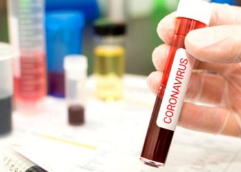 Kan incelticiler Covid-19’u atlatma şansını artırıyor