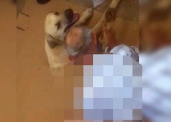 İğrenç olay! Ayaklarını bağladığı köpeğe tecavüz etti