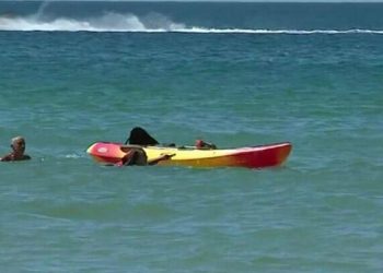 Boğulmak üzereyken Cumhurbaşkanı tarafından kurtarıldılar